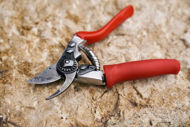 Felco F 15 Pruning Shears â€“ 4.7" Garden Clippers with Rubber Grip & Anvil Blade | Hand Pruners for Gardening | Garden Tool Cutter with Forged Aluminum Handle, Lightweight Precision for Small Hands - Image 1